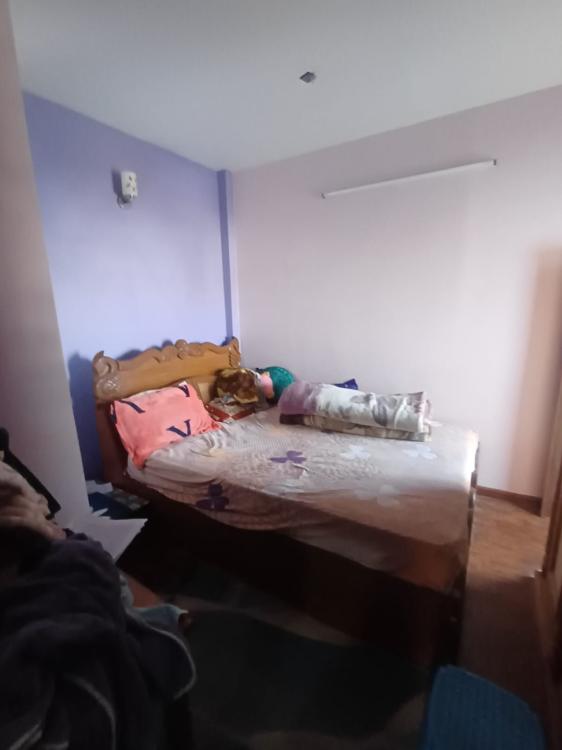 viber_image_2026-02-01_16-33-16-765