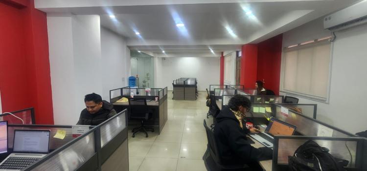 viber_image_2026-02-12_17-36-59-120