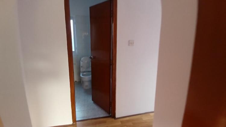 viber_image_2026-02-15_17-13-52-125