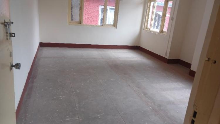 viber_image_2026-02-19_12-53-50-416