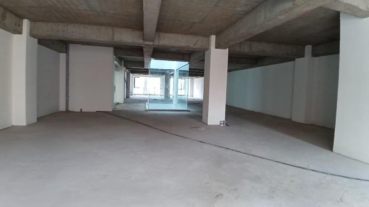 viber_image_2026-03-01_14-19-17-842