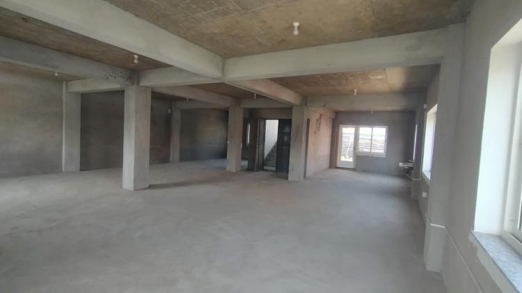 viber_image_2026-03-24_16-03-41-617