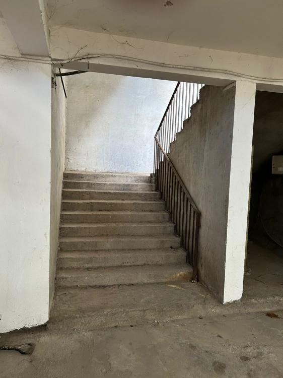 viber_image_2026-03-25_13-14-25-193