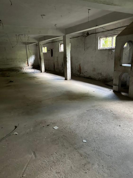 viber_image_2026-03-25_13-14-25-981