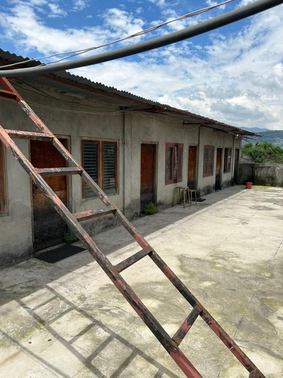 viber_image_2026-03-25_13-14-27-053