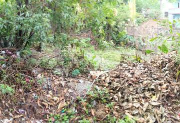 viber_image_2026-03-30_18-04-08-872